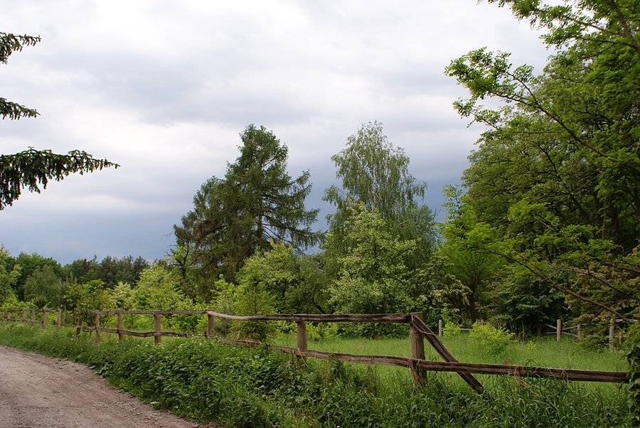Idą czarne chmury