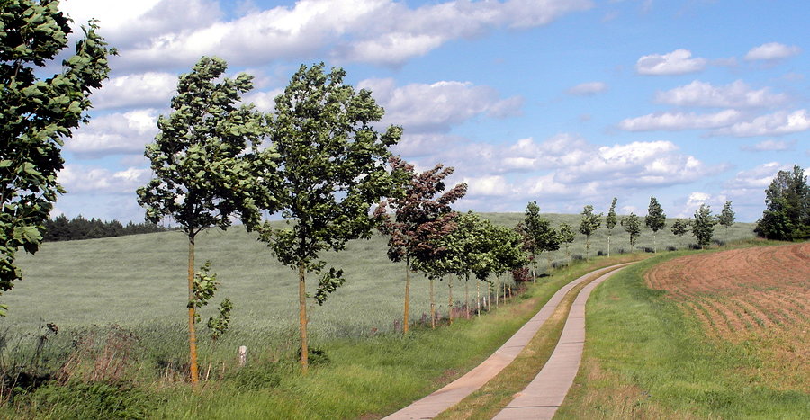 Odcinek Schmagerow - Grenzdorf