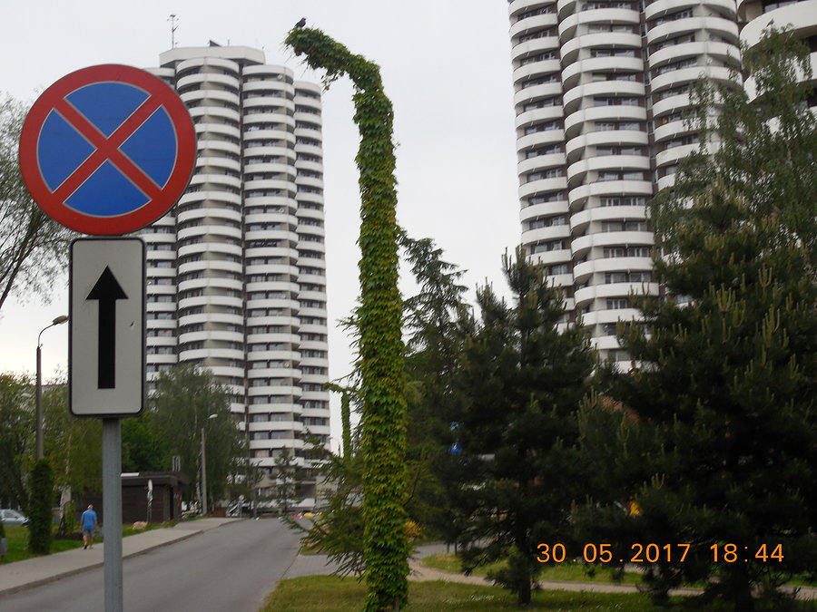 Obrosło zielenią
