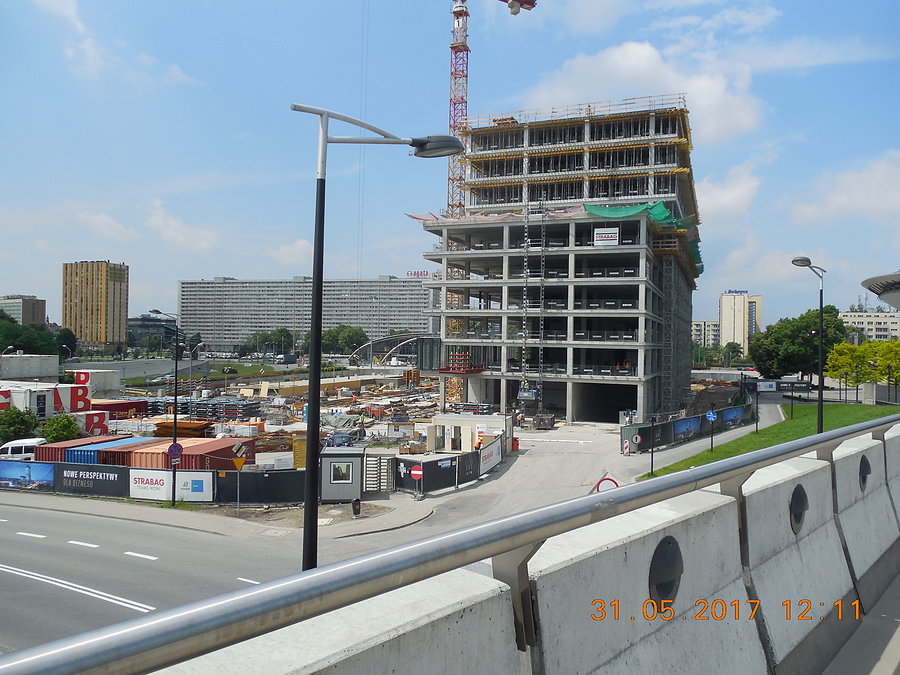 Rośnie.. (przy Rondzie w Katowicach)