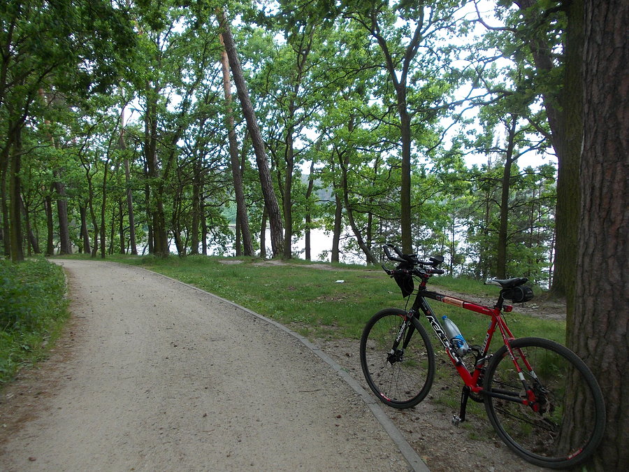 Chłodny poranek