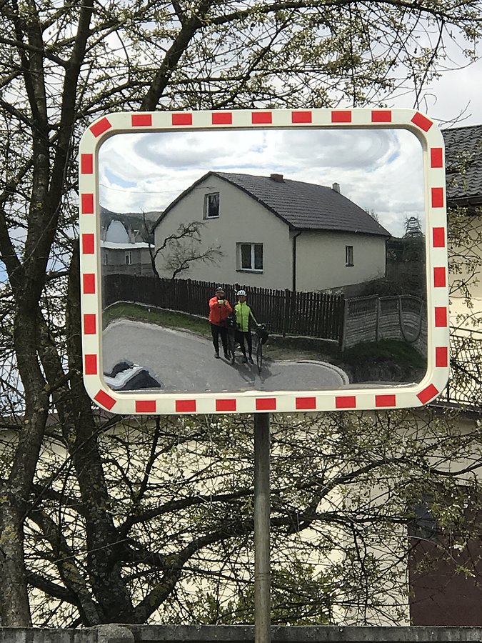 Lustrzanka komórkowa