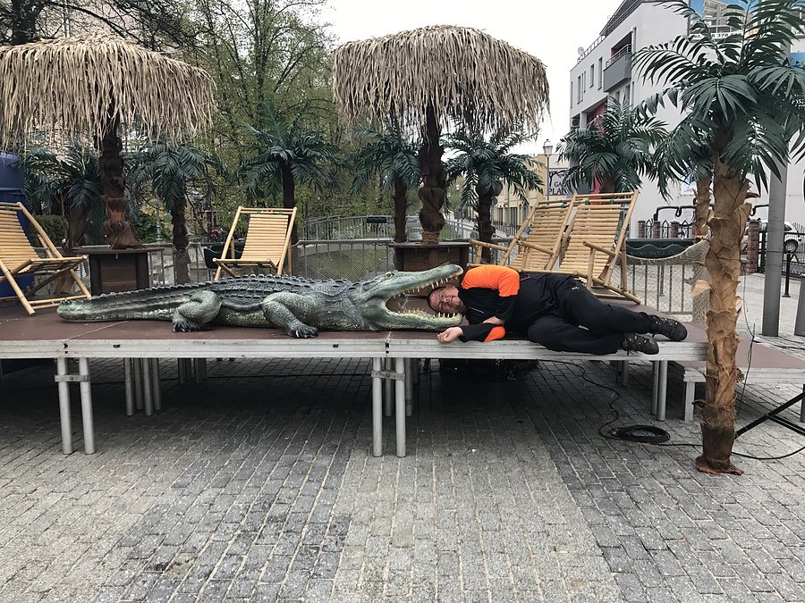 Głowę dam , ze było warto