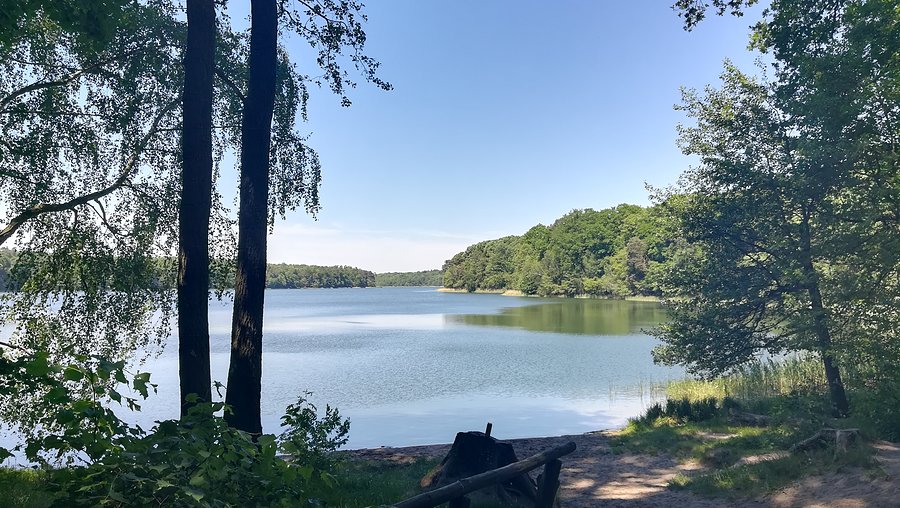 "plaża" nad jeziorem Góreckim