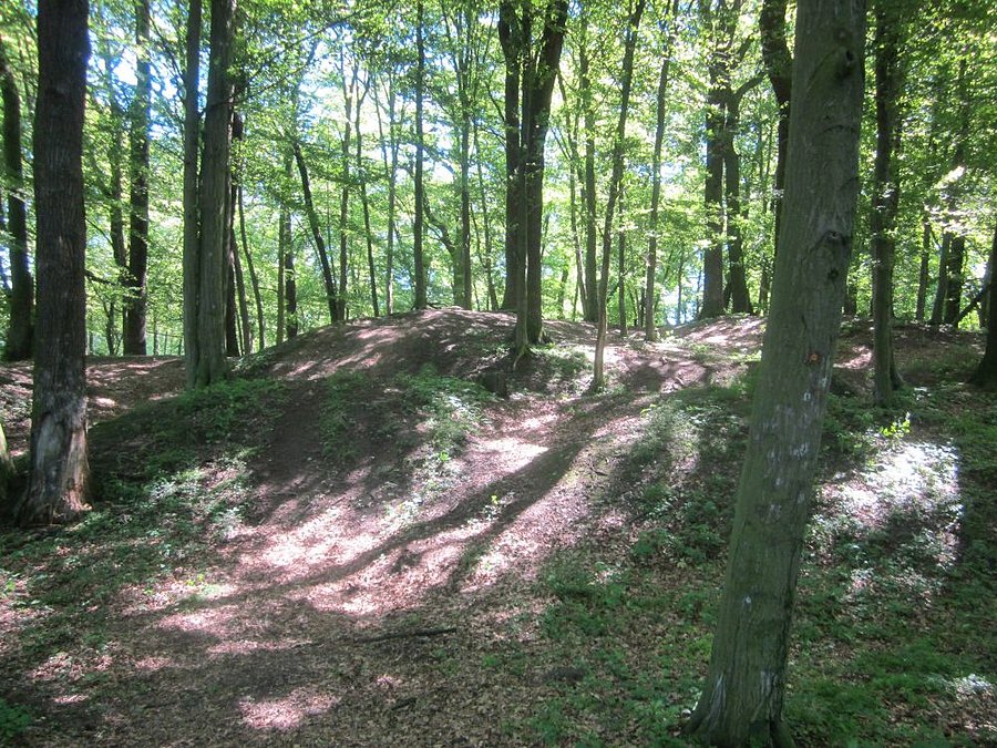Tajmnicze grodzisko