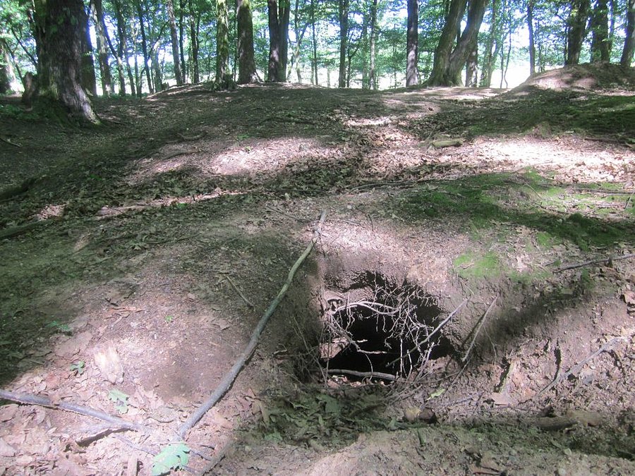 Wykopki - ktoś szukał skarbów