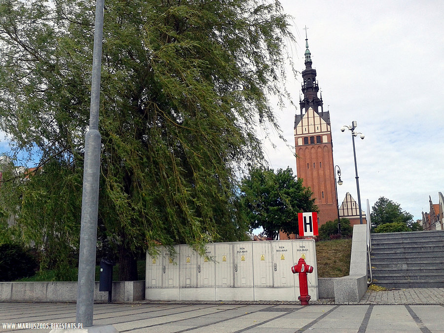 Katedra w Elblągu