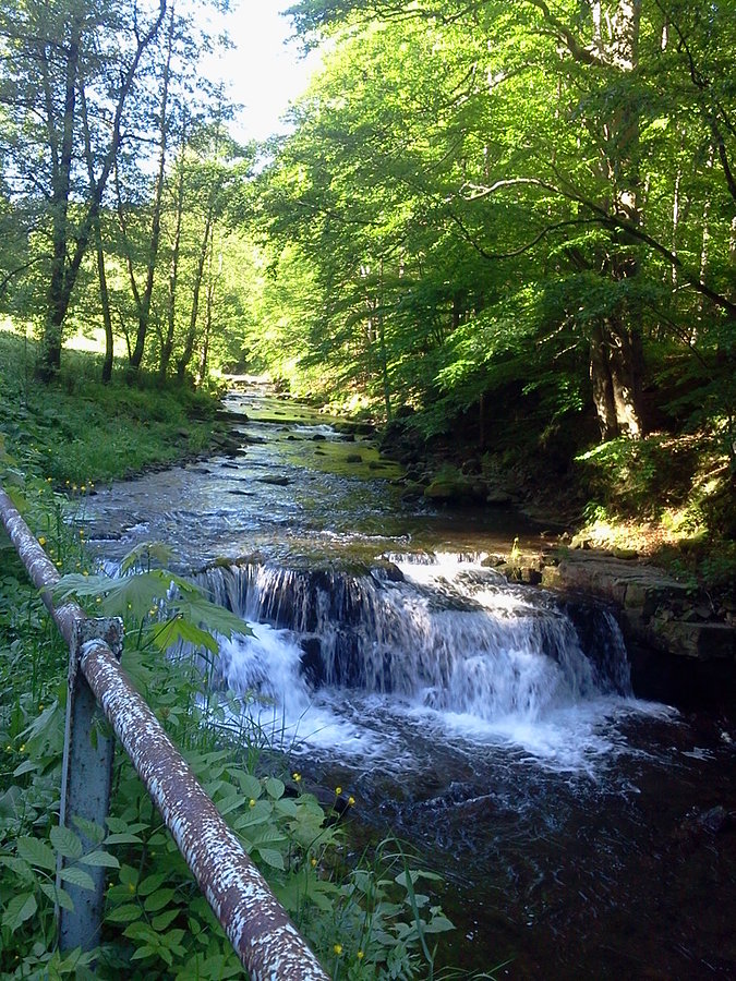 Mohelnica