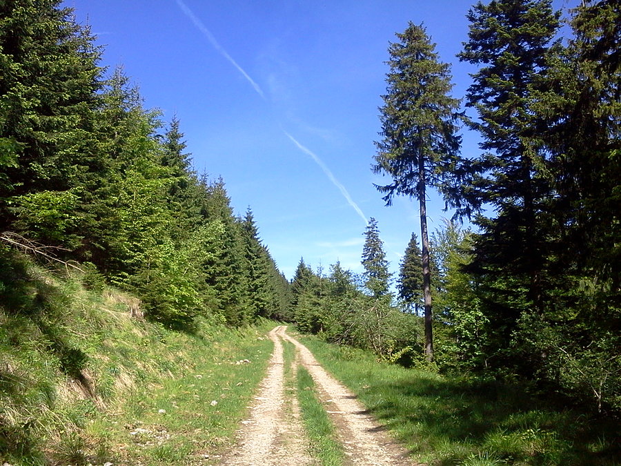 Szutrówka