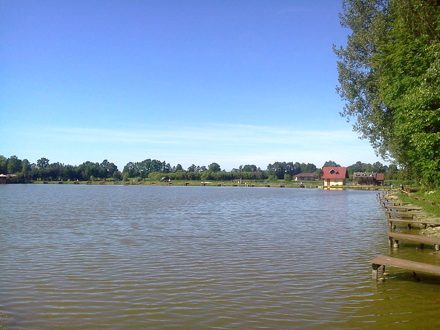Staw w Bąkowie