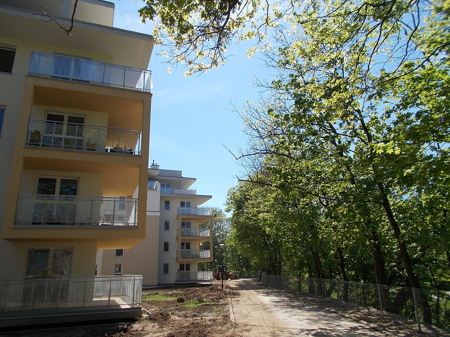 Belweder Park w Elblągu