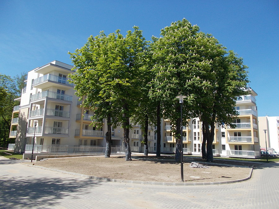Belweder Park w Elblągu