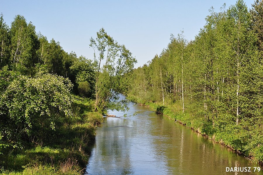 Rzeka Biała przemsza - Sosnowiec Bór
