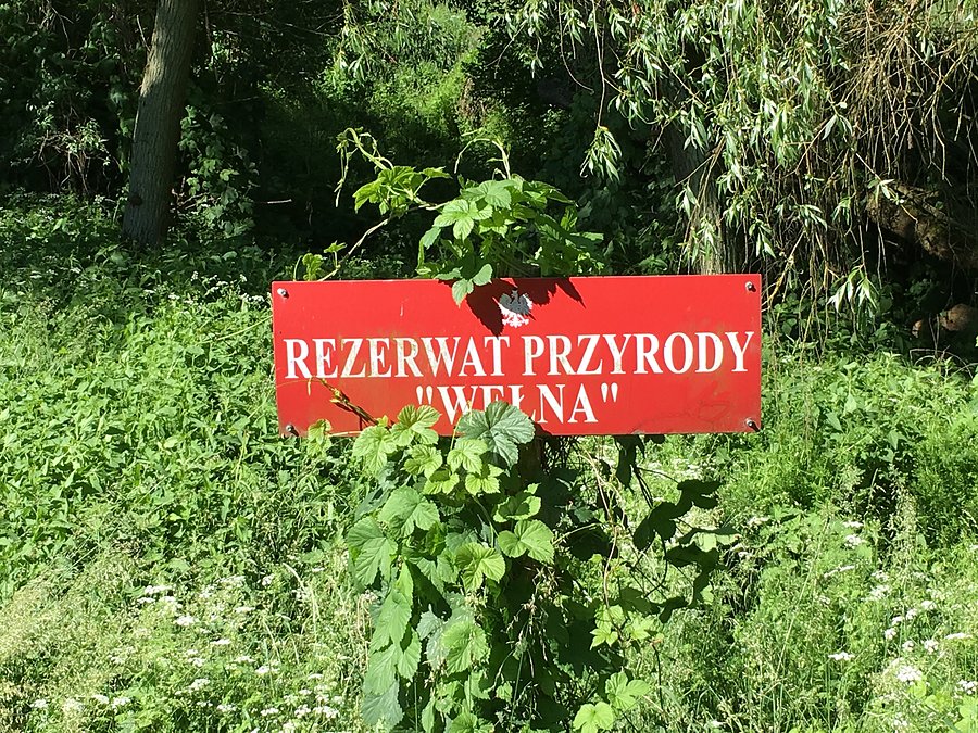Rezerwat przyrody "WEŁNA" - w drodze do Parkowa