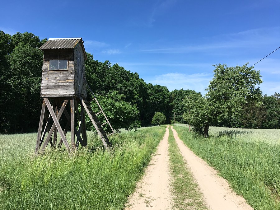 Kierunek Ruks-Młyn