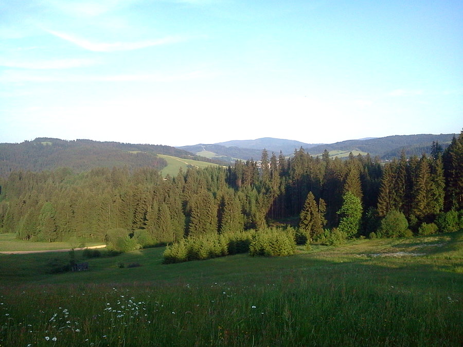 Widoczek