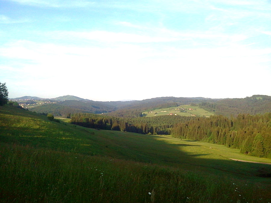 Widoczek