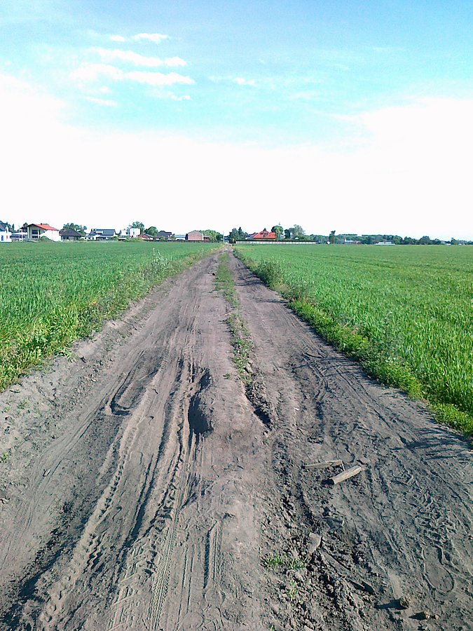 Przejechałam około 0,7 km taką drogą tylko raz schodząc z roweru