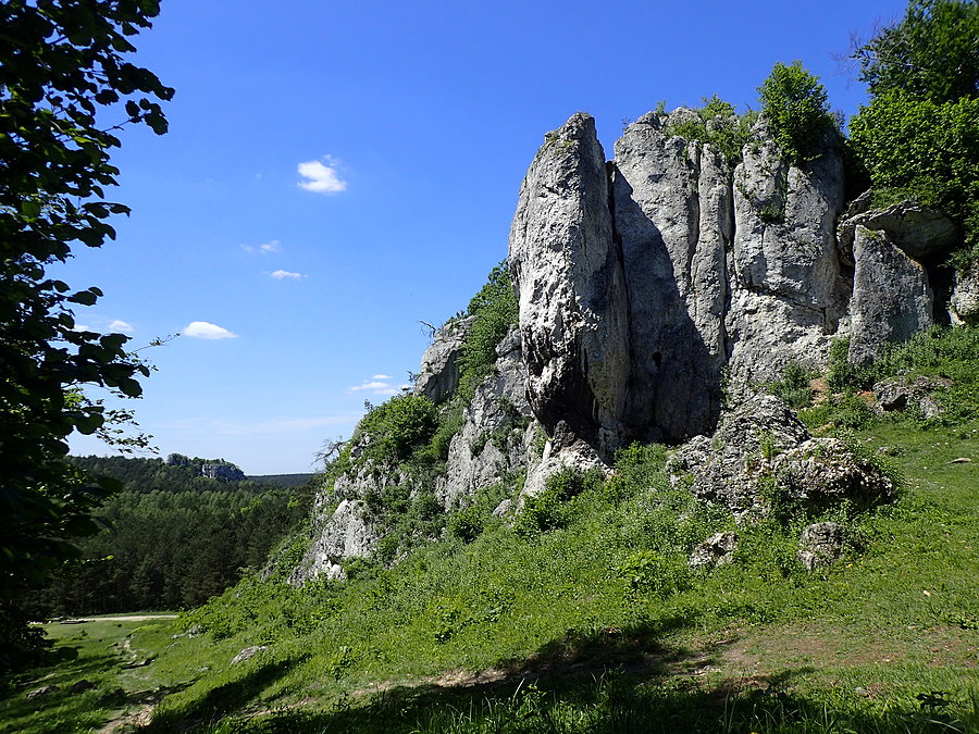Skaly na Górze Zborów