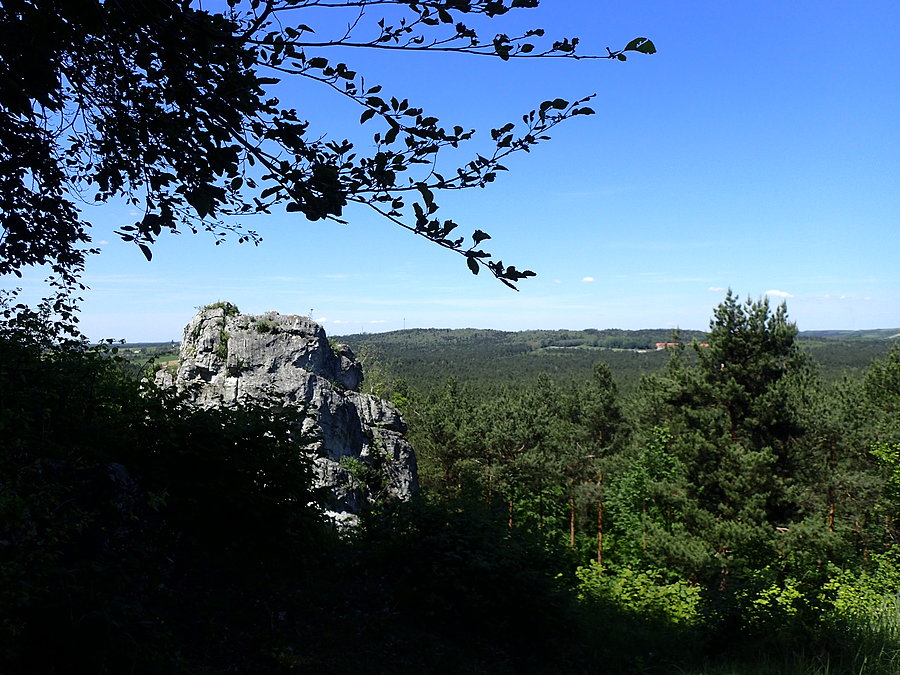 Widok z Góry Zborów