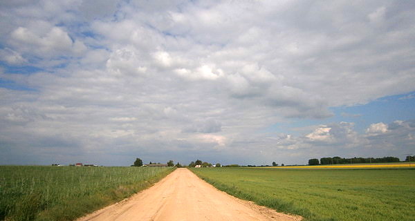 Przez pola z Pólko do Sitnika