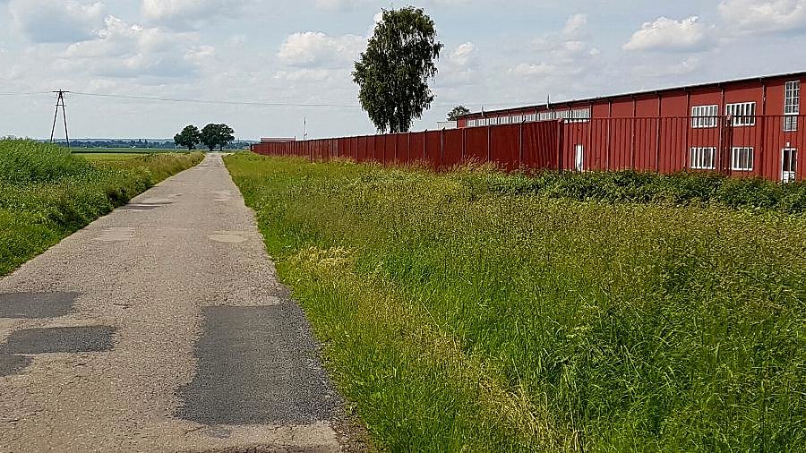 Droga do Koszewa z Dębicy
