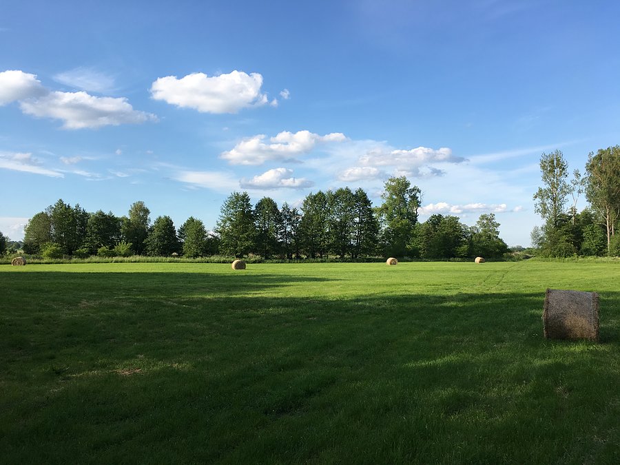 Uroczysko Wilanowiec nad Notecią