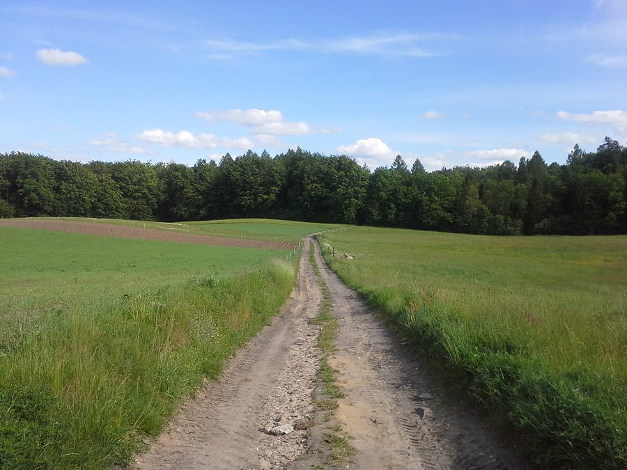 To co lubię najbardziej