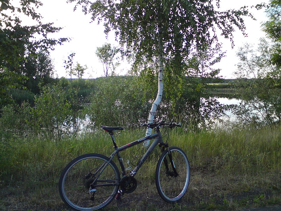 W Stobrawie