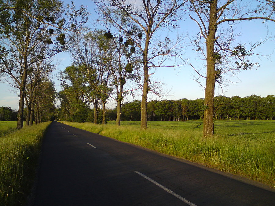 Wieczorową porą