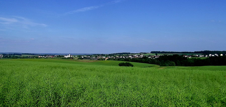 Darkovice