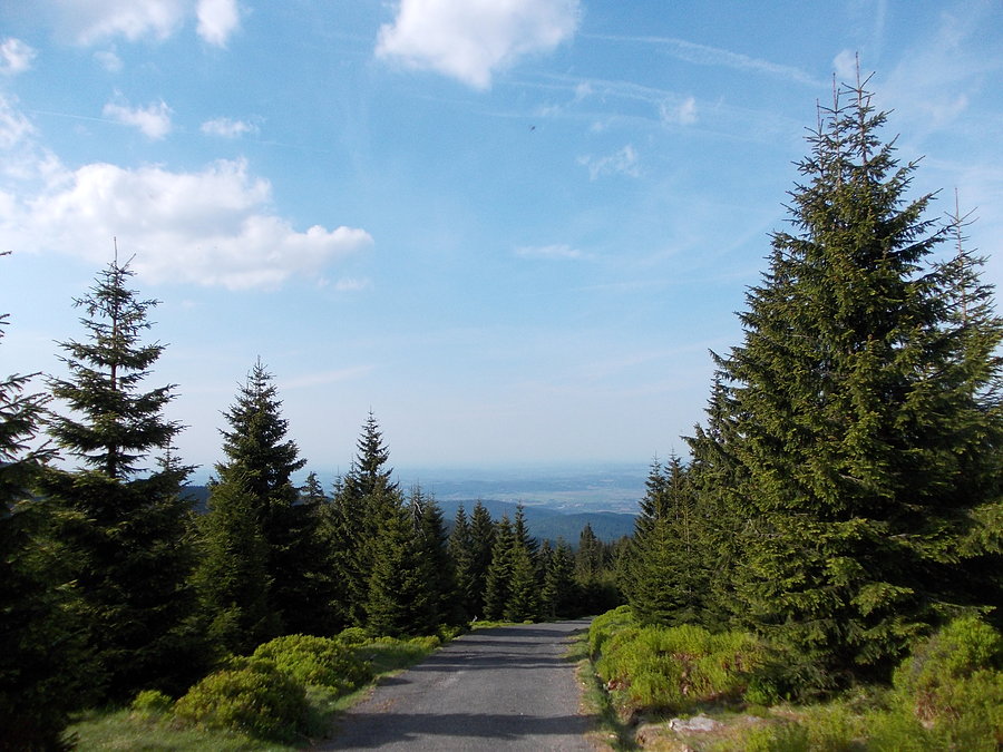 Piekny widok