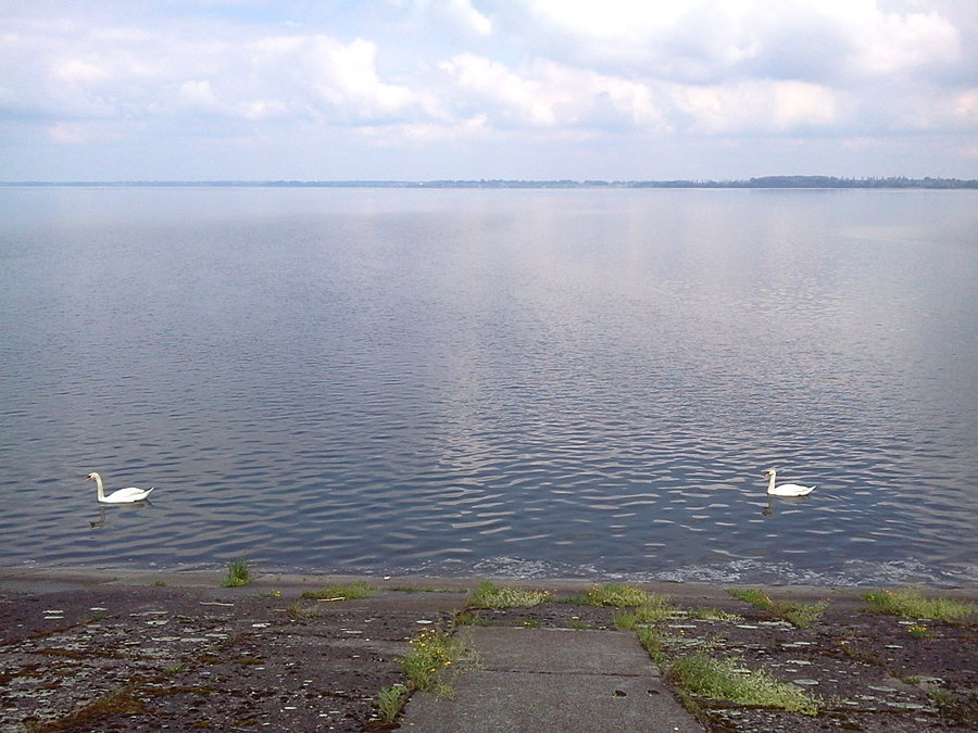 Jezioro Goczałkowickie