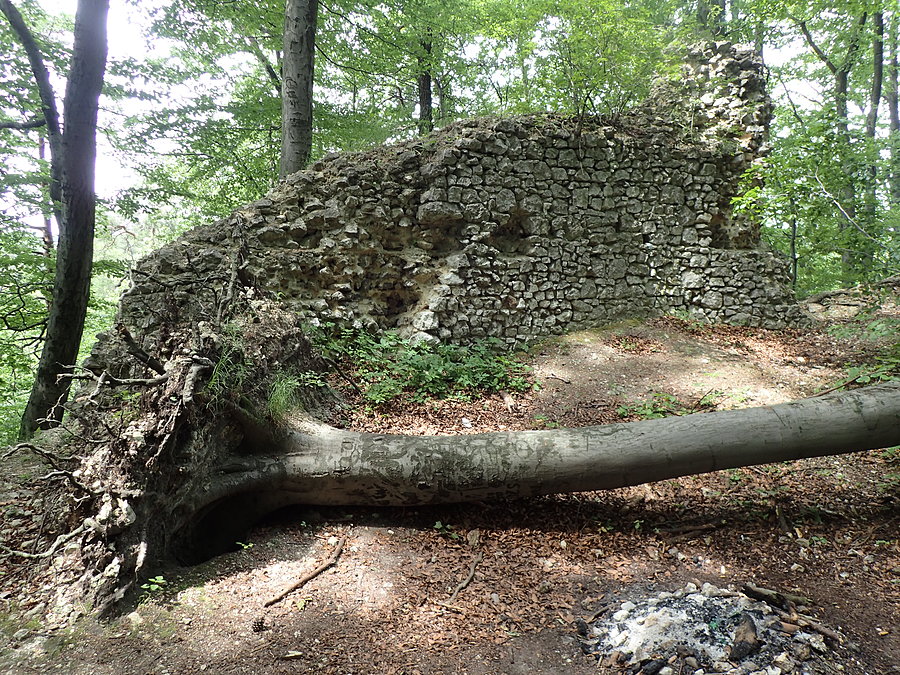 Pozostałości udorskiego zamku