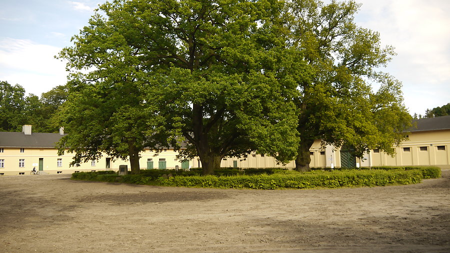 Sieraków - dziedziniec stadniny