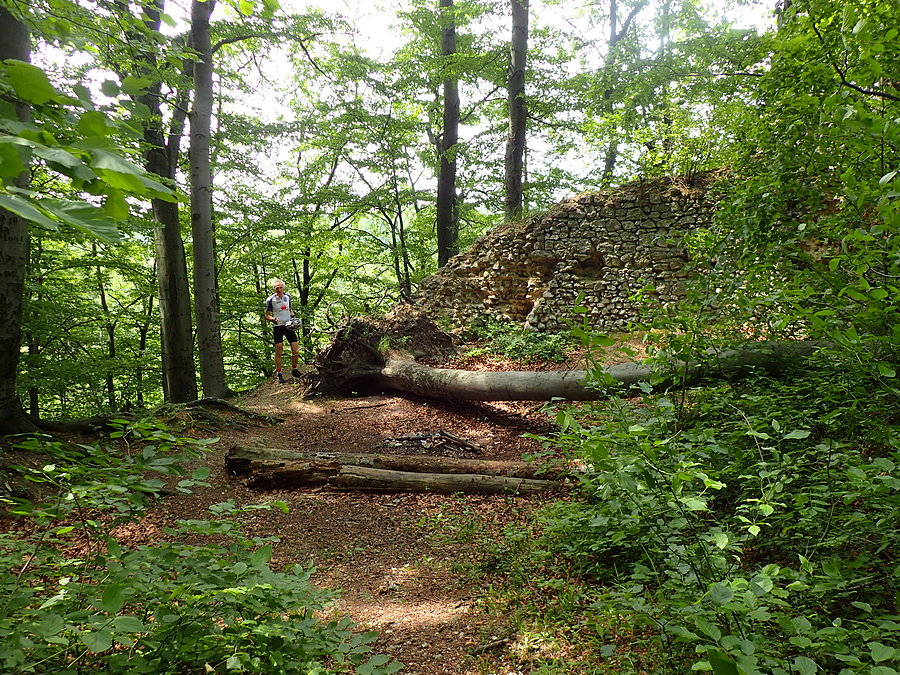Resztki ruin zamku Udórz