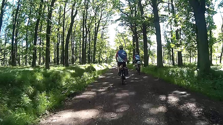 Asfalt leśny ;)