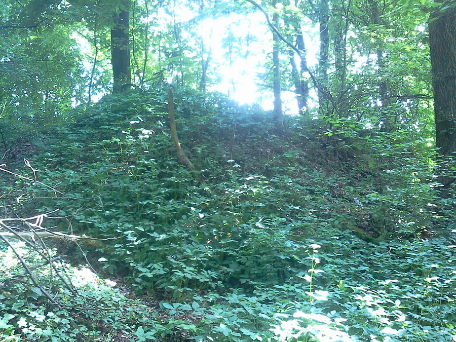 Dawny park