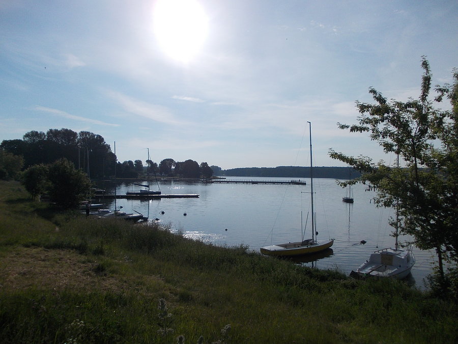 Poranek nad zalewem