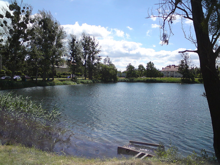 Staw Cegielnia