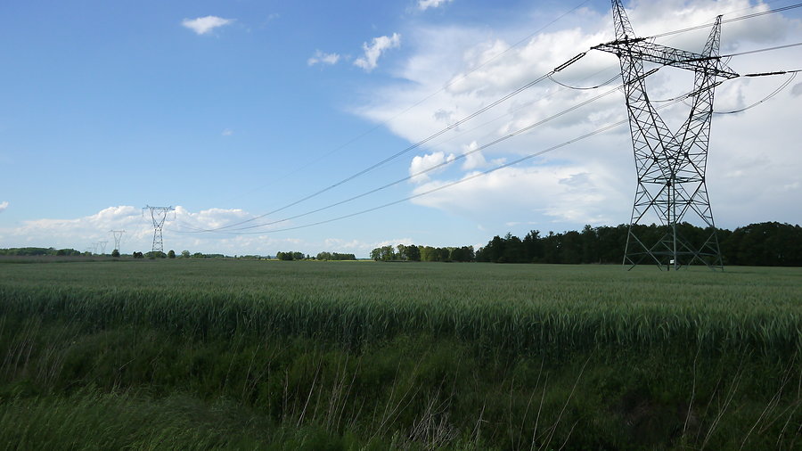 W polach nad Wartą