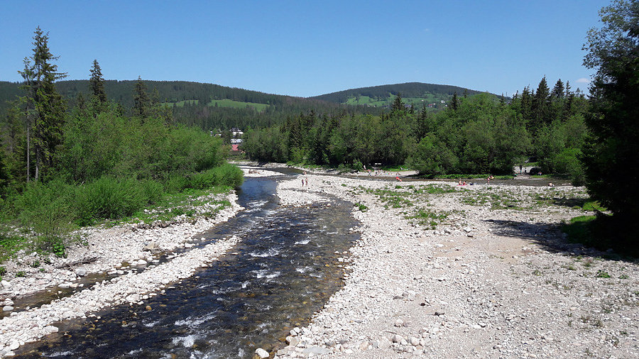 Czarny Dunajec