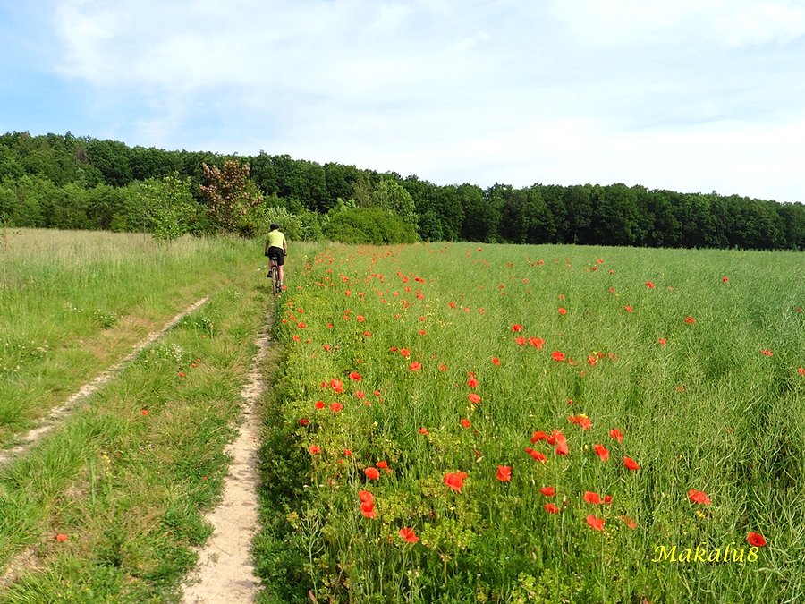 Przez pola do Prudnika
