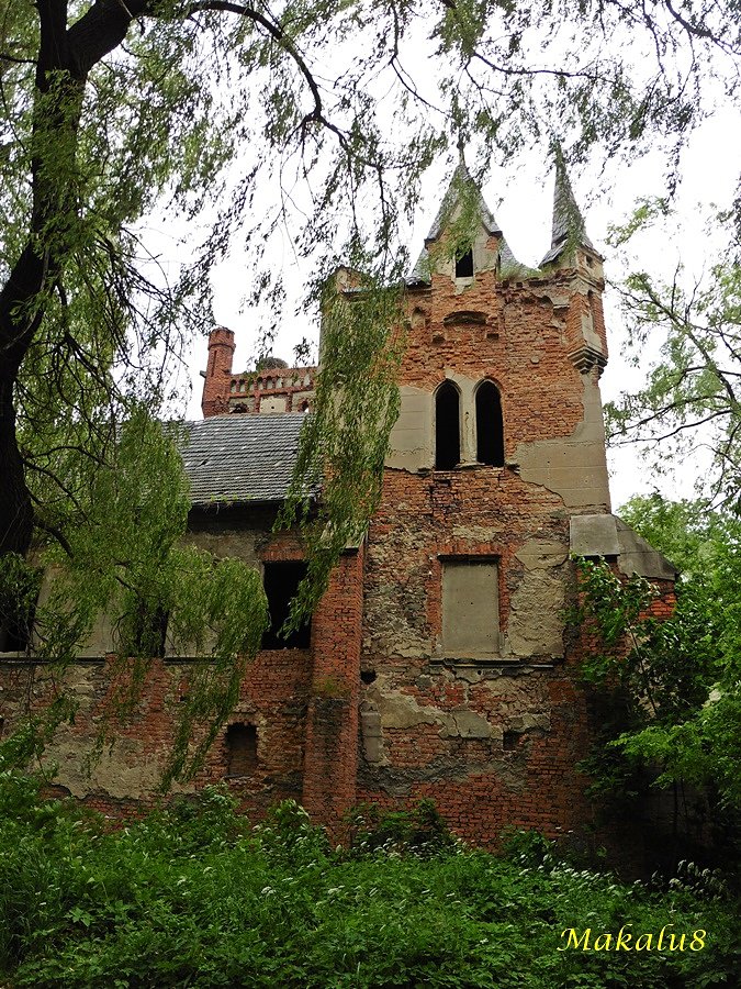 Ruiny pałacu w Łące Prudnickiej