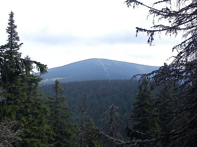 Śnieżnik