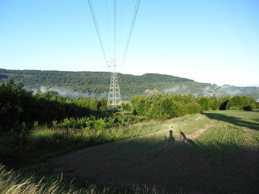 Widoczek