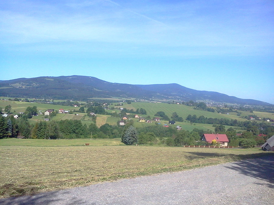 Widoczek na podjeździe