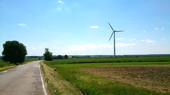Wiatraki koło Żółkiewki