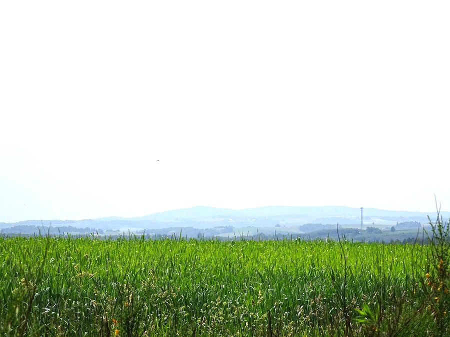 Pogórze Strzyżowskie