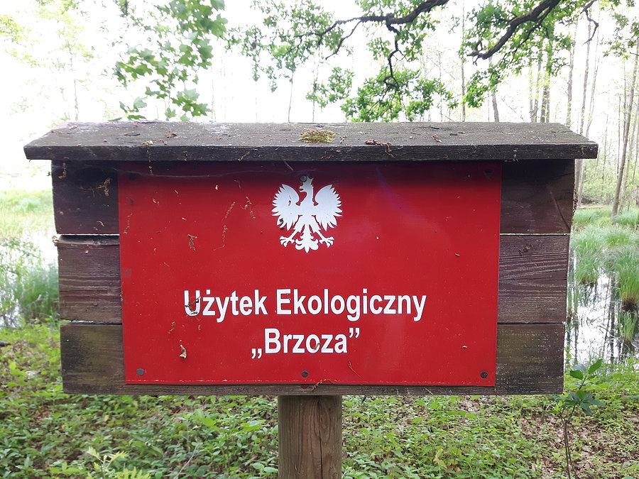 Użytek Ekologiczny